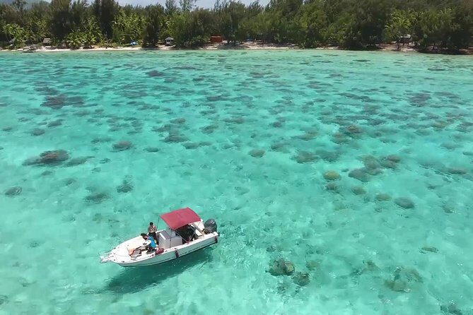 Private Bora Bora Lagoon Experience - Why Choose This Tour?