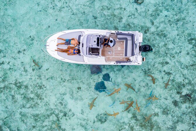 Private Bora Bora Snorkeling Cruise with Optional Vegetarian Lunch on the Beach - An In-Depth Look at the Bora Bora Snorkeling Experience