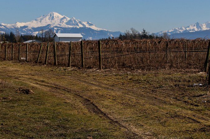 Private Border Corner Tour in Washington - What Past Travelers Say