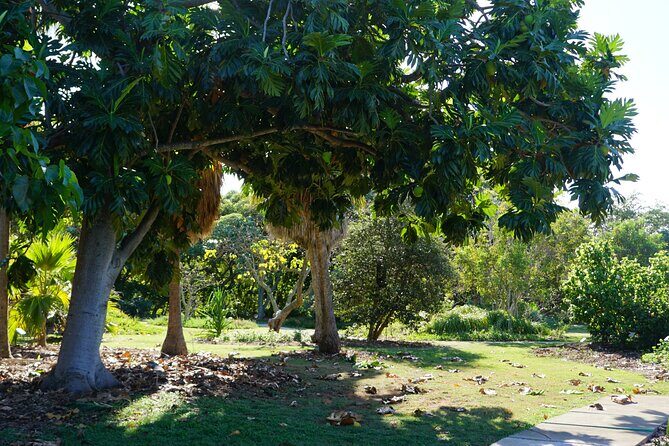 Private Botanical Garden Experience in the Heart of Maui - The Sum Up: Is It Worth It?