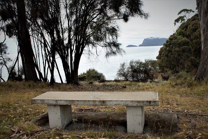 Private Bruny Island Discovery Tour - The Practicalities and Value