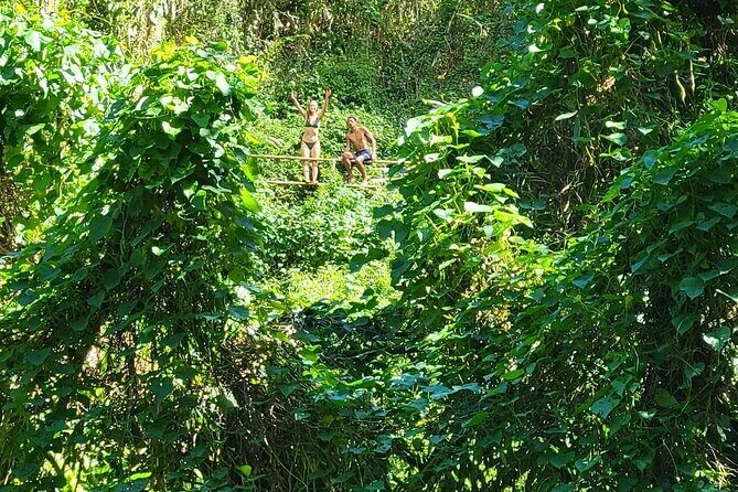Private Bucket List Adventure Day- Hikes, Beaches, Waterfalls - Key Points