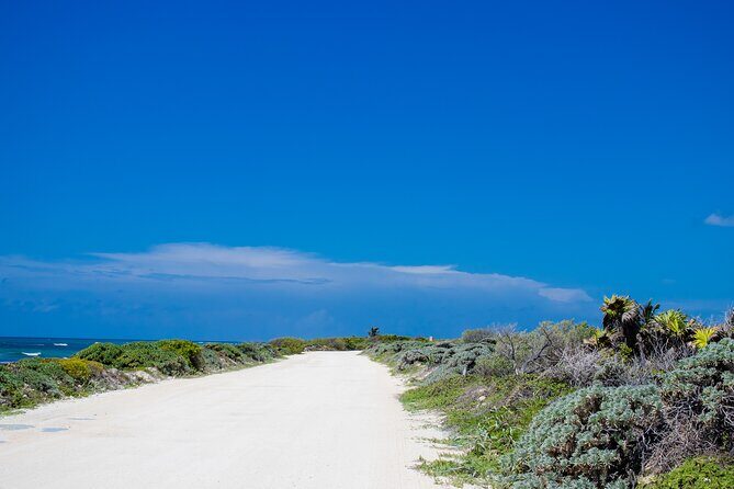 Private Buggy Tour and Punta Sur Park: All-Inclusive - Exploring Cozumel in Style and Comfort