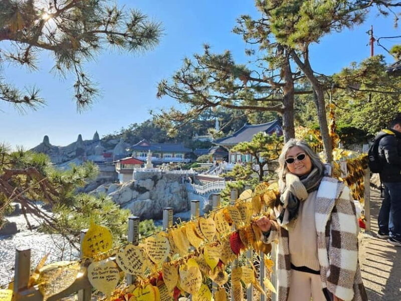 Private Busan Tour  Discover Top Sights with a Local Guide - What’s Included and What’s Not