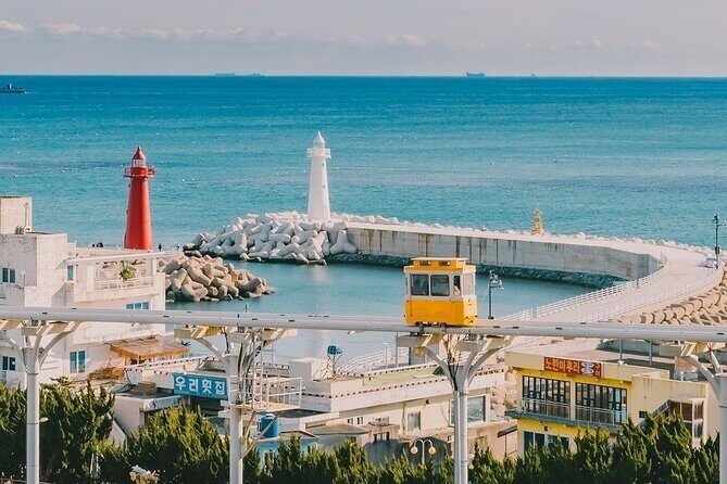 Private Busan Tour -Explore Cultural Landmarks with a Local Guide - Key Points