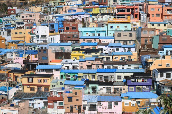 Private Busan tour with gamcheon culture village and the temple (Customizable) - What to Expect: Practicalities & Value