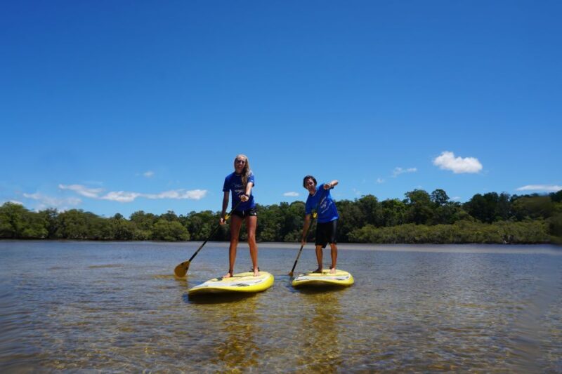 Private Byron Bay: 2-Hour Stand Up Paddle Board Nature Tour - The Value of the Experience