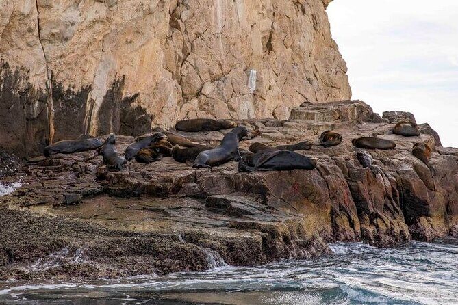 Private Cabo San Lucas City Tour - Authentic Experiences and Tips