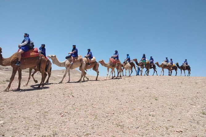 Private Camel Ride in Agafay desert - Discover the Charm of a Private Camel Ride in Agafay Desert