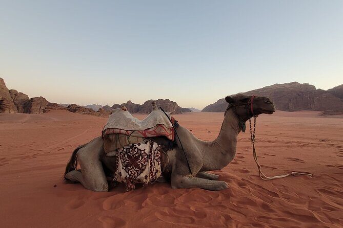Private Camel Ride Sunset View at Wadi Rum, 30% off - An In-Depth Look at the Experience
