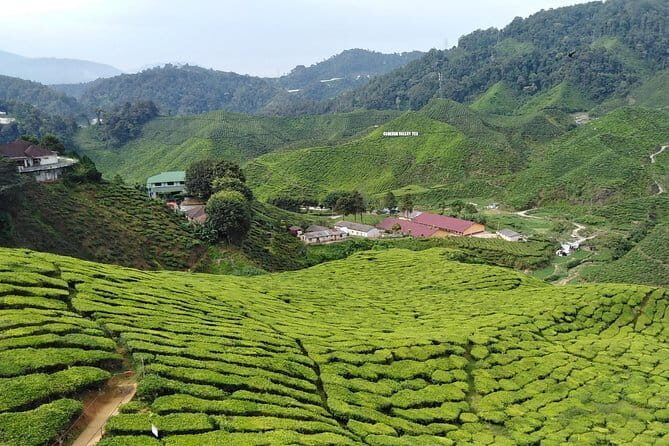 Private: Cameron Highlands 2 days 1 night Trip - Introduction