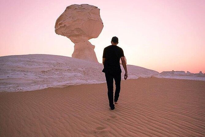 Private Camping Overnight Trip to Bahariya Oasis White Desert from Cairo - Exploring the Itinerary in Detail