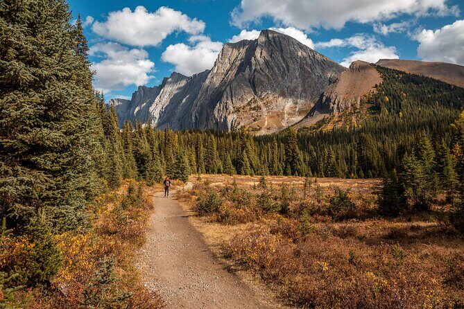 PRIVATE Canmore Guided Nature Walk Tour 2 Hour - A Closer Look at the Private Canmore Guided Nature Walk