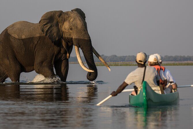 Private Canoeing, Cycling, Coffee and Hiking Tour in lake Duluti. - Exploring the Private Canoeing, Cycling, Coffee, and Hiking Tour in Lake Duluti