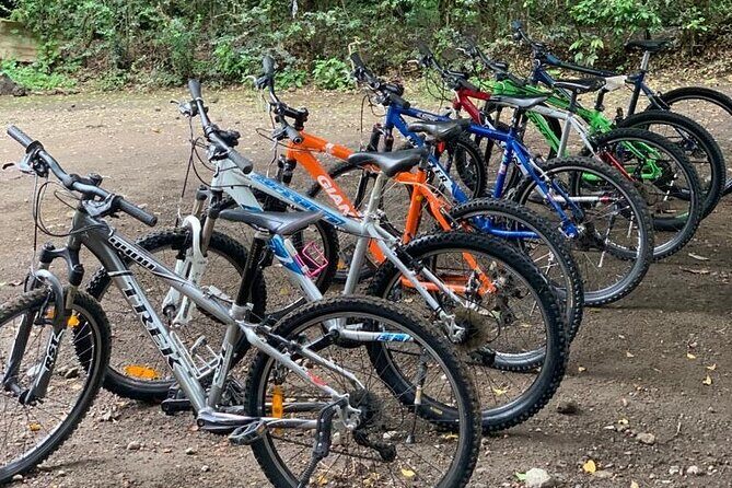 Private Canoeing, Cycling, Coffee and Hiking Tour in lake Duluti. - A Full Breakdown of the Lake Duluti Private Tour