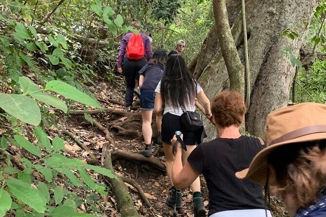 Private Canoeing, Cycling, Coffee and Hiking Tour in lake Duluti. - FAQ