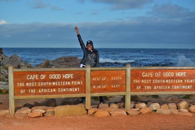 Private Cape of Good Hope and Penguins Tour with Luxury Mercedes or BMW Vehicle - An In-Depth Look at the Tour Experience