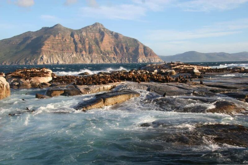 Private Cape of Good Hope Guided Tour - An In-Depth Look at the Tour Itinerary