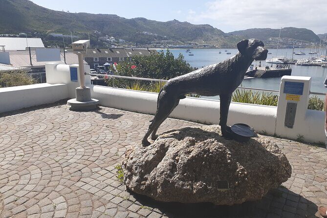 Private Cape Point / Peninsula Tour - The Itinerary in Detail