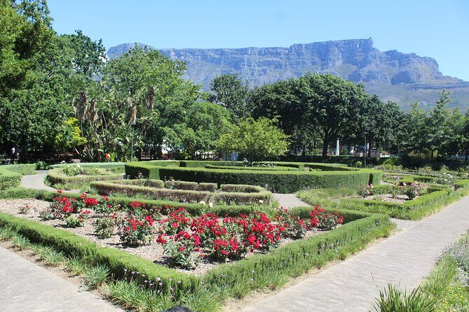 Private Cape Town City Tour Table Mountain + Cable car ticket H/D - Financially Speaking: Is It Worth the Price?