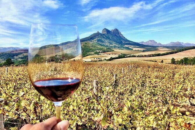 Private Cape Town City Tour table Mountain with wine tasting - Who Is This Tour Best Suited For?