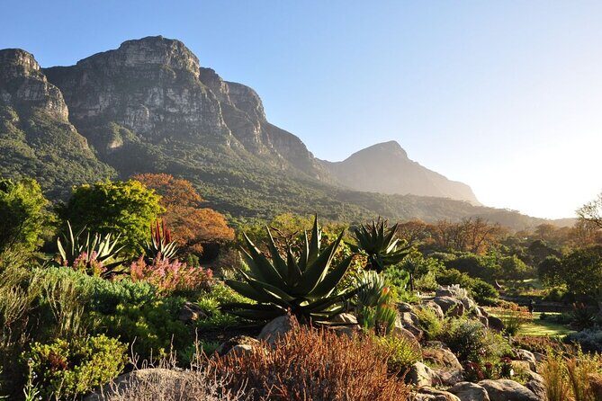 Private Cape Town City Tour table Mountain with wine tasting - FAQ