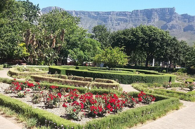 Private Cape Town Table Mountain Bo-Kaap + Cable Car Tickets H/D - Final Thoughts
