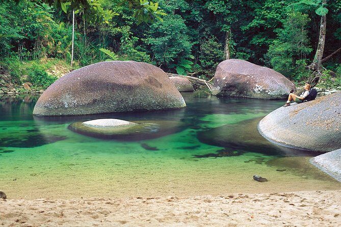 Private Cape Tribulation & Mossman Gorge Day Tour - An Overview of the Experience