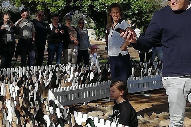 Private Cape Winelands Guided Full Day Tour from Cape Town - The Sum Up