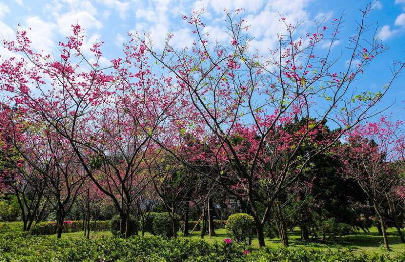 Private Car: 8-Hour Customized Taipei City Exploration! - Who Is This Tour Best Suited For?