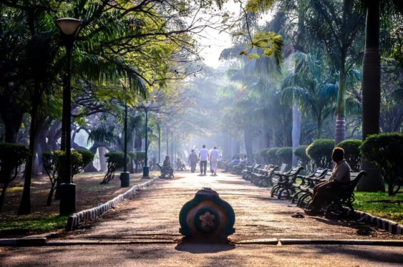 Private car and driver Bangalore Excursion to Bannerghatta - Who Will Love This Tour?