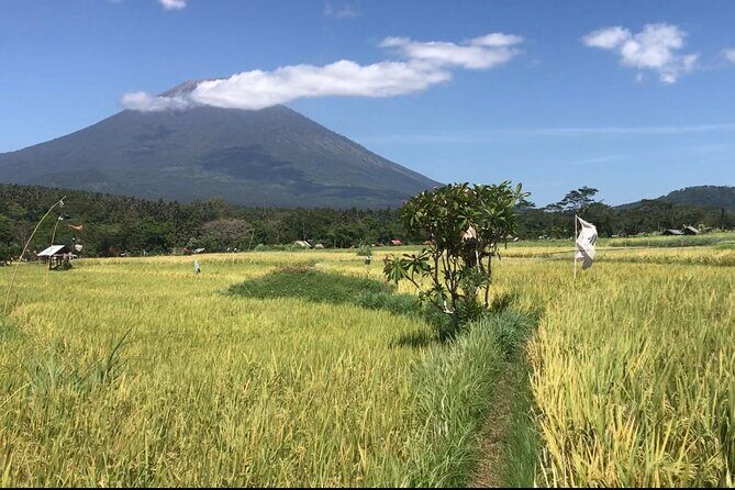 Private Car Charter in Bali with an English speaking Driver - An Honest Look at the Bali Private Car Experience