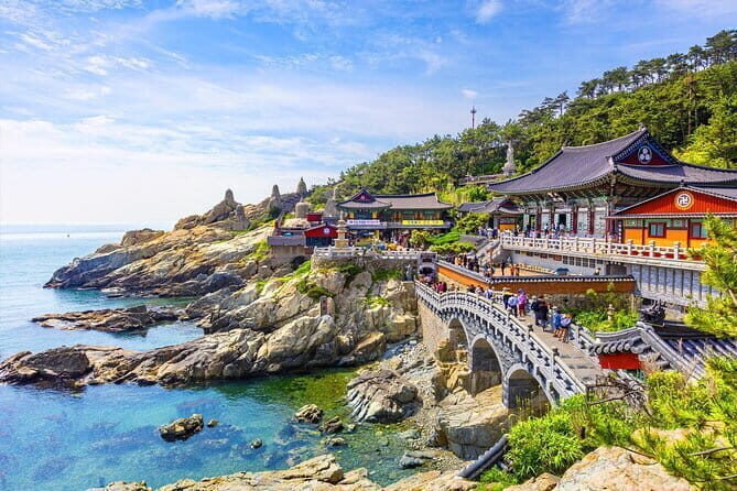 Private Car Charter Tour in Busan City - A Closer Look at the Itinerary