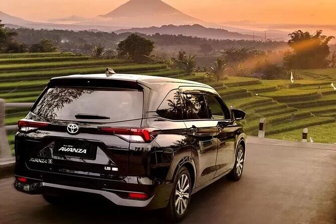 Private Car Charter Tour With Driver In Bali - Key Points