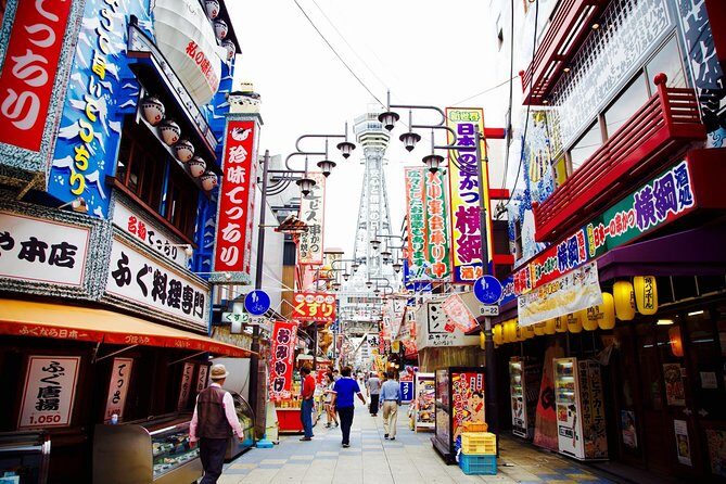 Private Car Full Day Tour of Osaka Temples, Gardens and Kofun Tombs - A Closer Look at the Tour Experience
