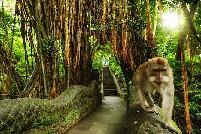 Private car hire in Bali with English speaking driver - Detailed Breakdown of the Itinerary
