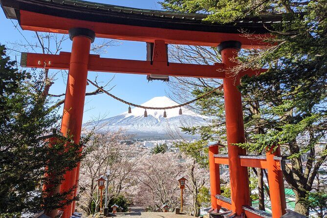 Private Car Mt Fuji and Gotemba Outlet in One Day from Tokyo - The Sum Up