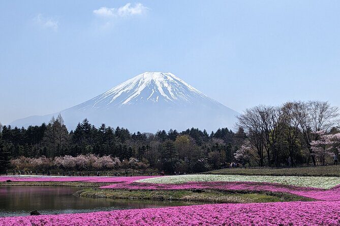 Private Car Mt Fuji and Gotemba Outlet in One Day from Tokyo - FAQ
