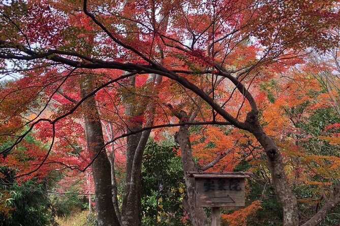 Private car tour in Kyoto (up to 4) - Final Thoughts