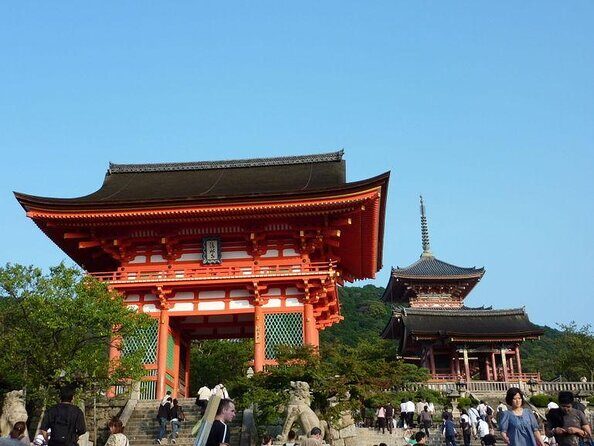 Private car tour in Kyoto (up to 9) - Why Choose a Private Car Tour in Kyoto?