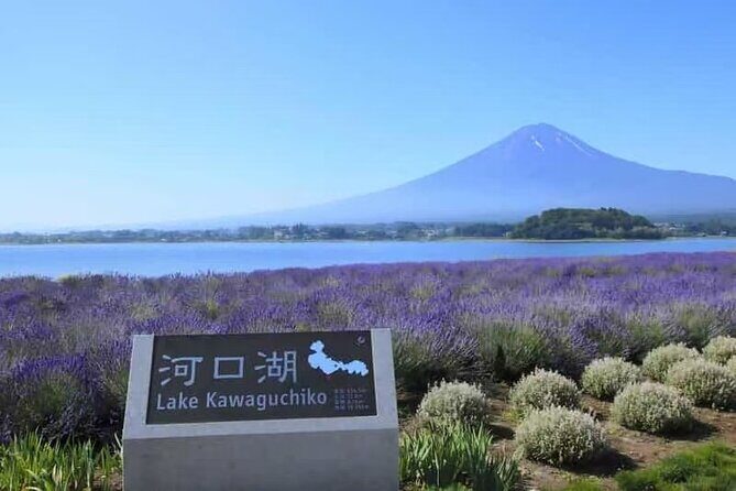 Private Car Tour to Mt. Fuji Lake Kawaguchiko - Why Choose a Private, Customizable Experience?