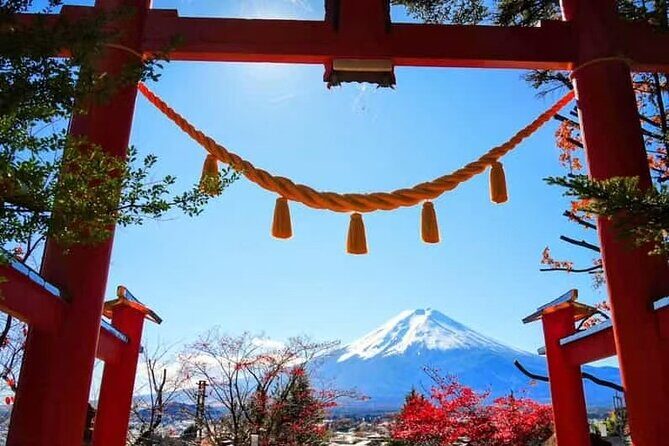 Private Car Tour to Mt. Fuji Lake Kawaguchiko - Details on Logistics and Practicalities
