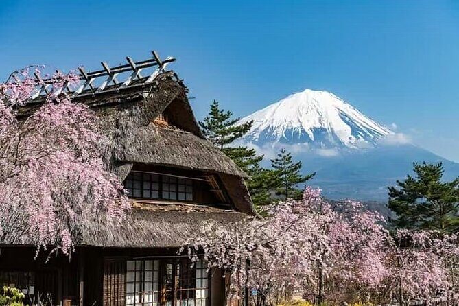Private Car Tour to Mt. Fuji Lake Kawaguchiko - FAQ