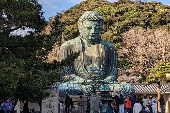 Private Car Tour to see Highlights of Kamakura, Enoshima, Yokohama from Tokyo - Key Points