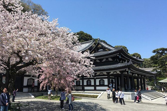 Private Car Tour to see Highlights of Kamakura, Enoshima, Yokohama from Tokyo - The Sum Up