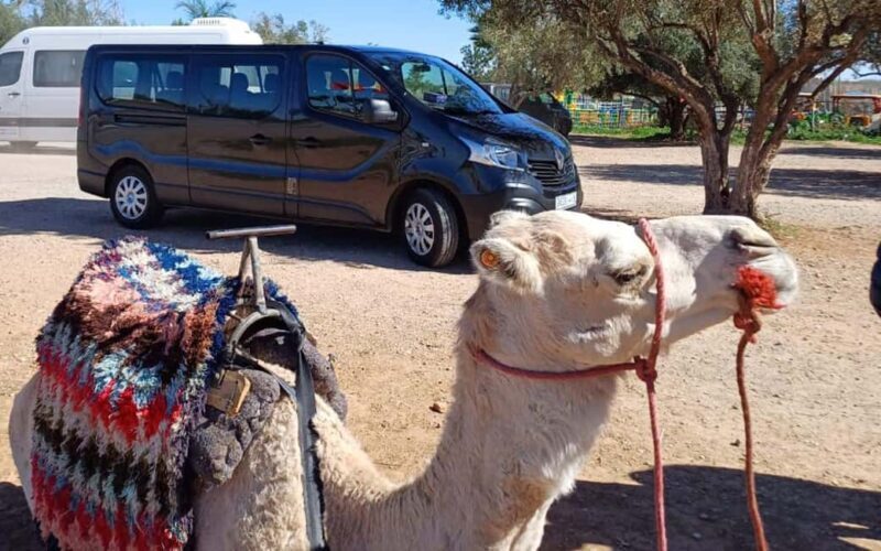 Private Casablanca desert tour 8 days Grand Morocco Tour - Final Thoughts