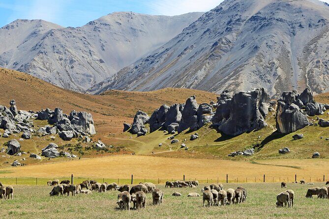 Private Castle Hill & Inland Canterbury Shore Excursion - Final Thoughts: Is This Tour Worth It?