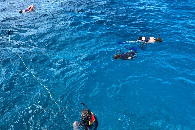 Private Catamaran Cruise and Snorkeling Tour in Honolulu - FAQ