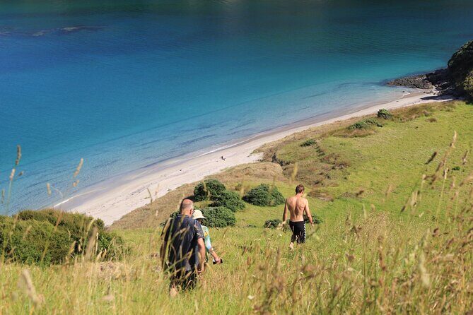 Private Catamaran Full Day Sailing Charter | Bay Of Islands - Who Is This Tour Best For?