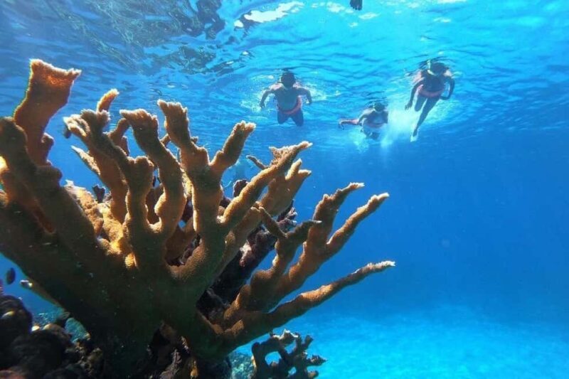 Private Catamaran in Cozumel: El Cielo and Turtle Sanctuary - Final Thoughts: Who Should Consider This Tour?